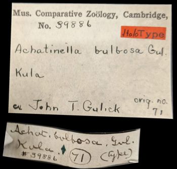 Media type: image;   Malacology 39886 Aspect: labels